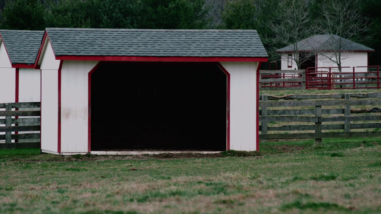Christmas Ranch screenshot 2