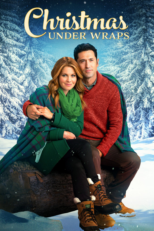 Christmas Under Wraps (2014) poster