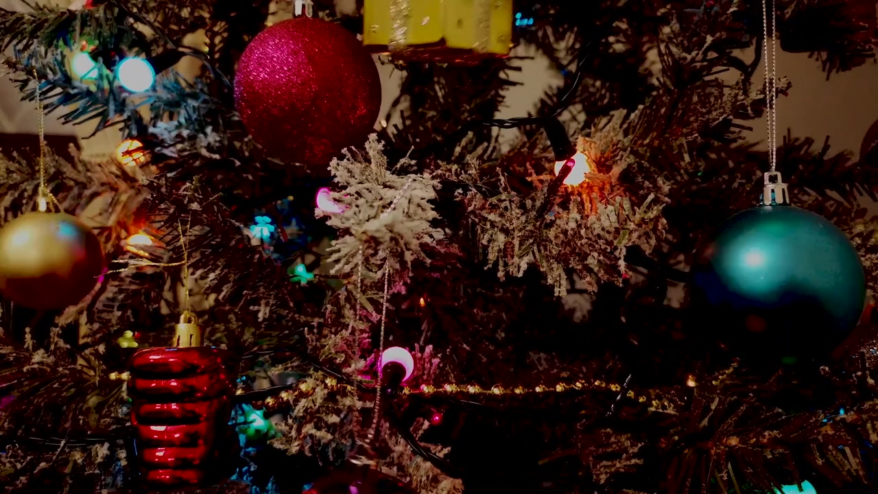 Christmas with the Carters screenshot 1