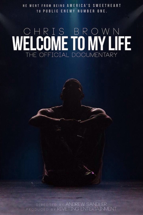 Chris Brown: Welcome to My Life (2017) poster