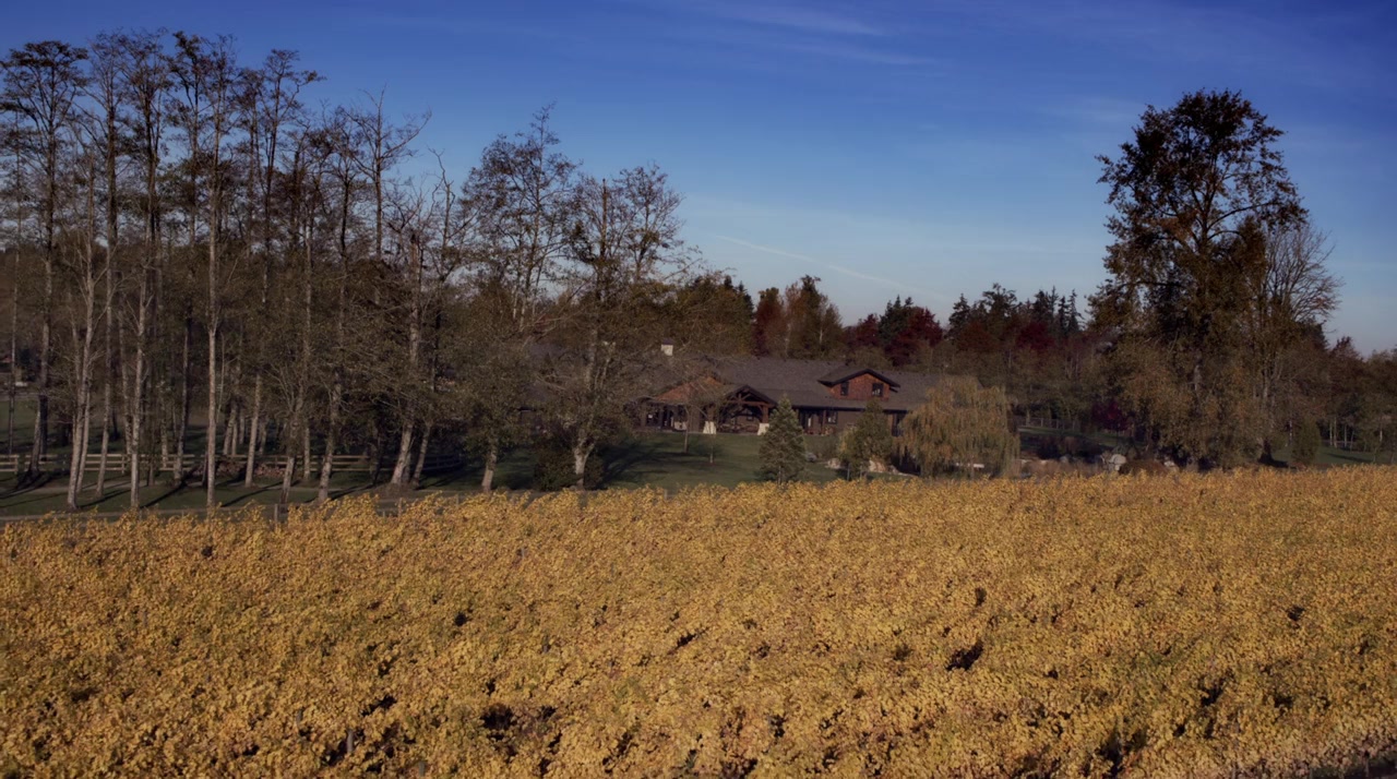 Chronicle Mysteries: Vines That Bind screenshot 1