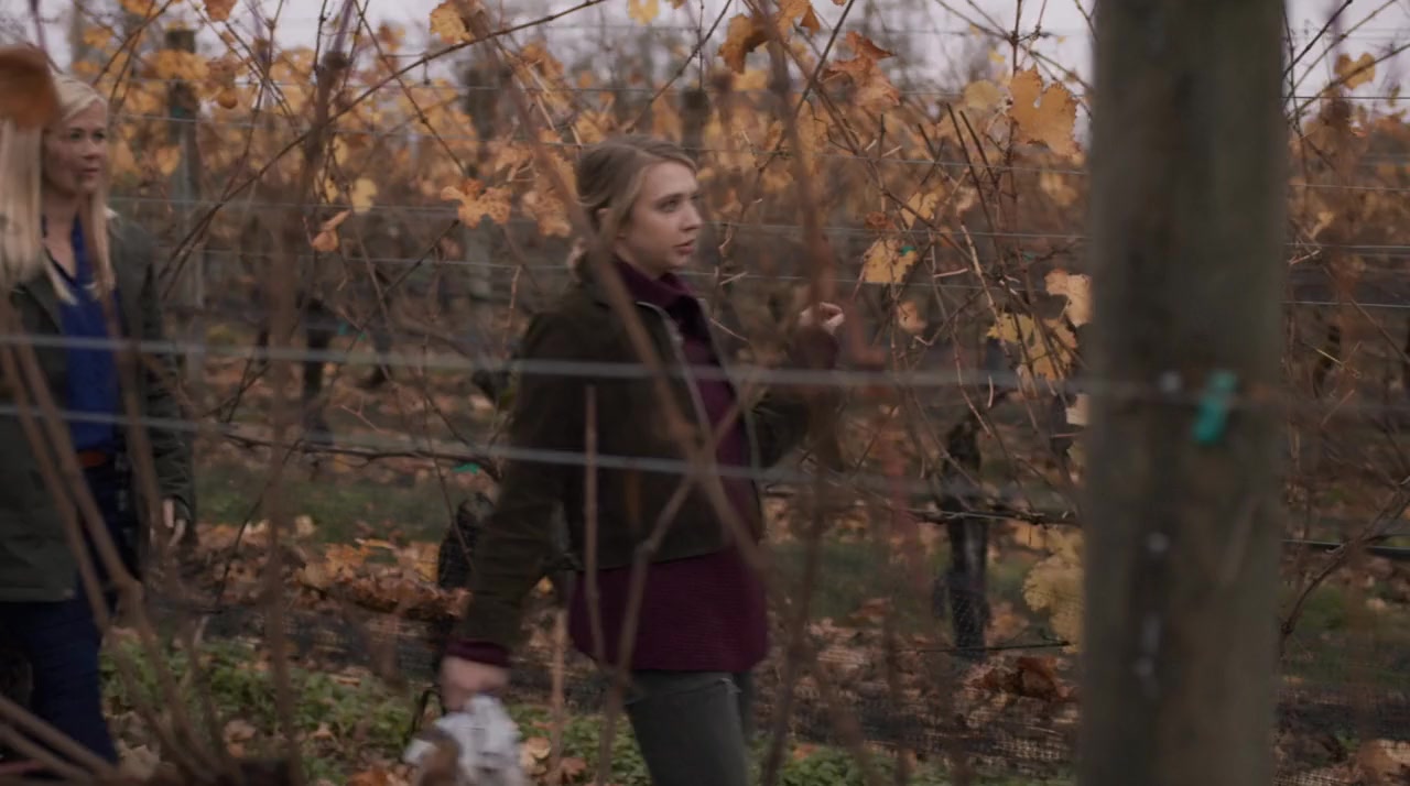 Chronicle Mysteries: Vines That Bind screenshot 3