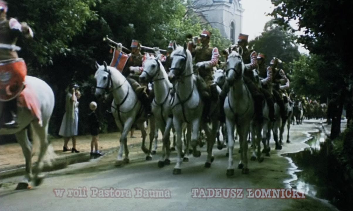 Kronika wypadków milosnych screenshot 1