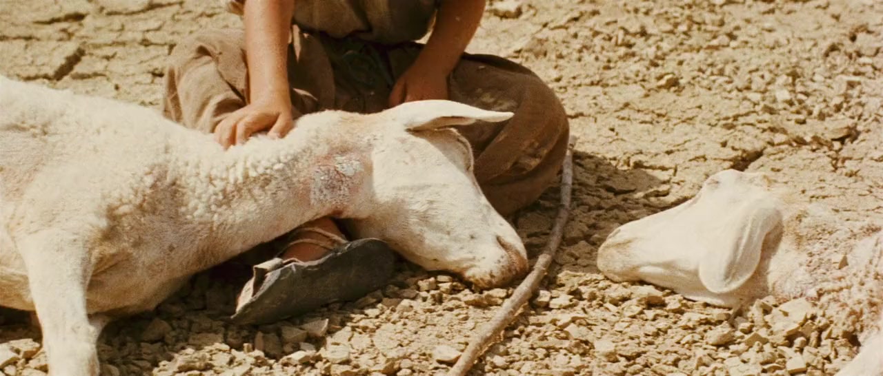 Ahdat Sanawovach El-Djamr screenshot 2