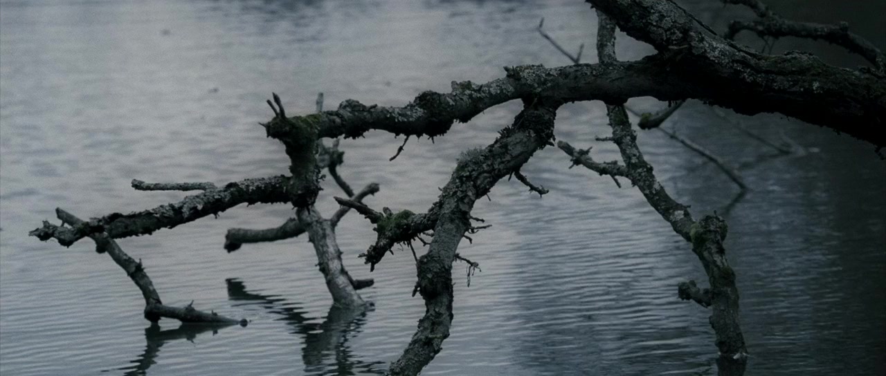 Chrysalis screenshot 2