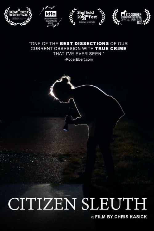 Citizen Sleuth (2023) poster