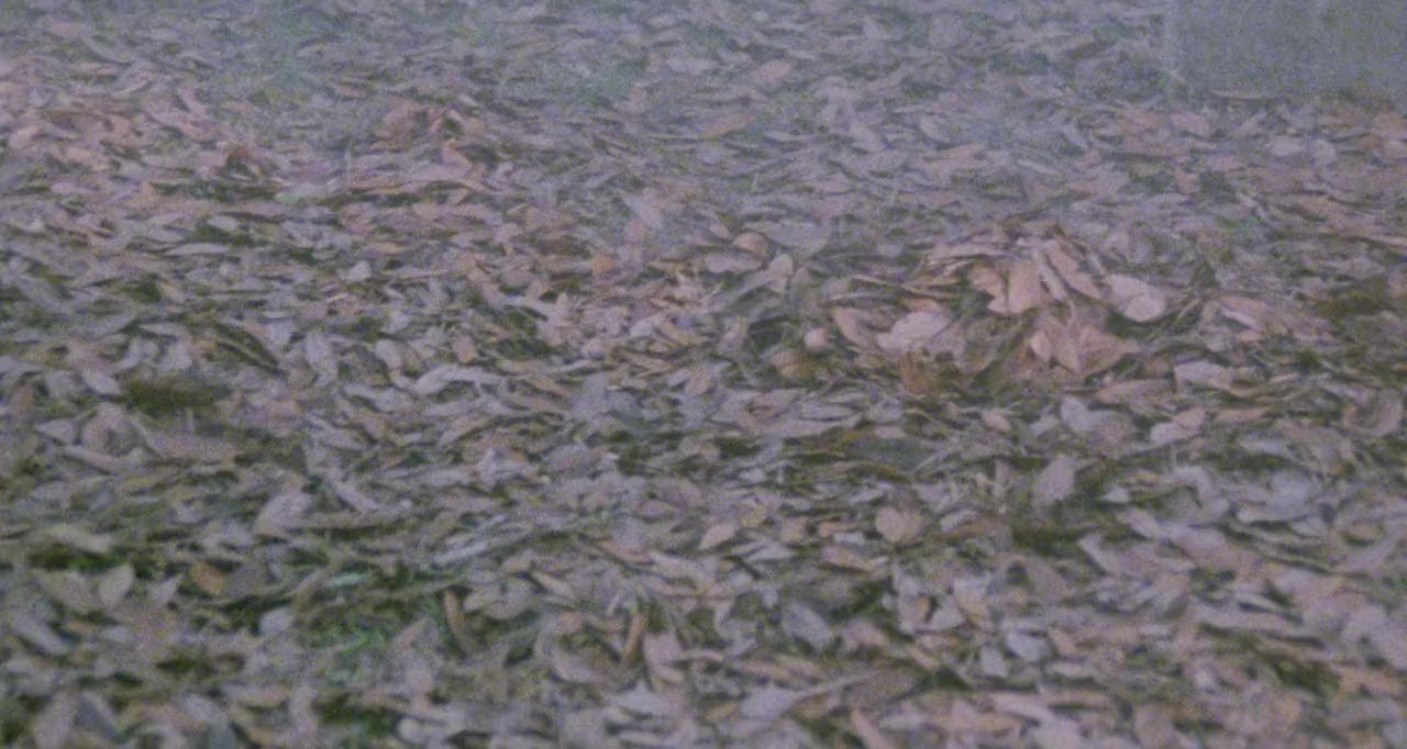 Paura nella città dei morti viventi screenshot 1