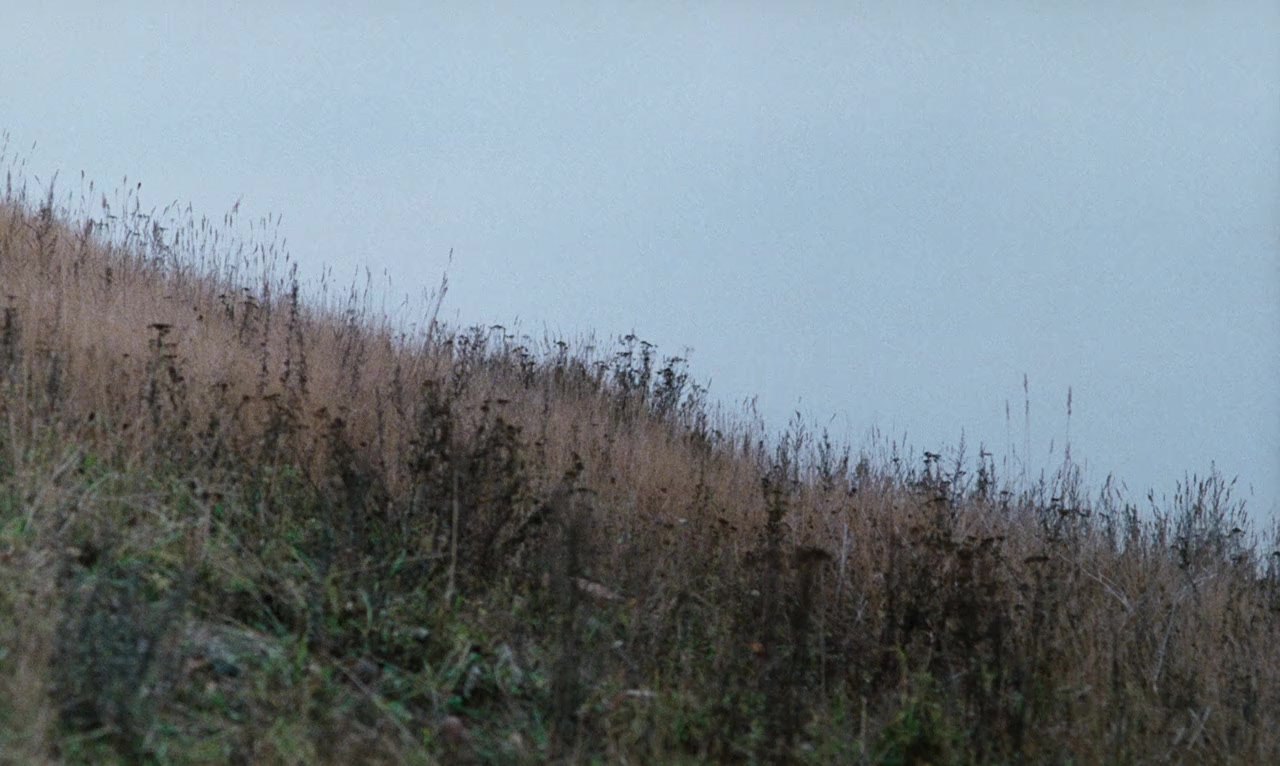 Mina drömmars stad screenshot 2