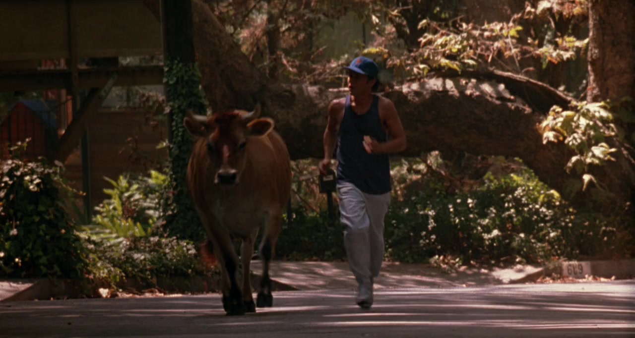 City Slickers II: The Legend of Curly's Gold screenshot 2