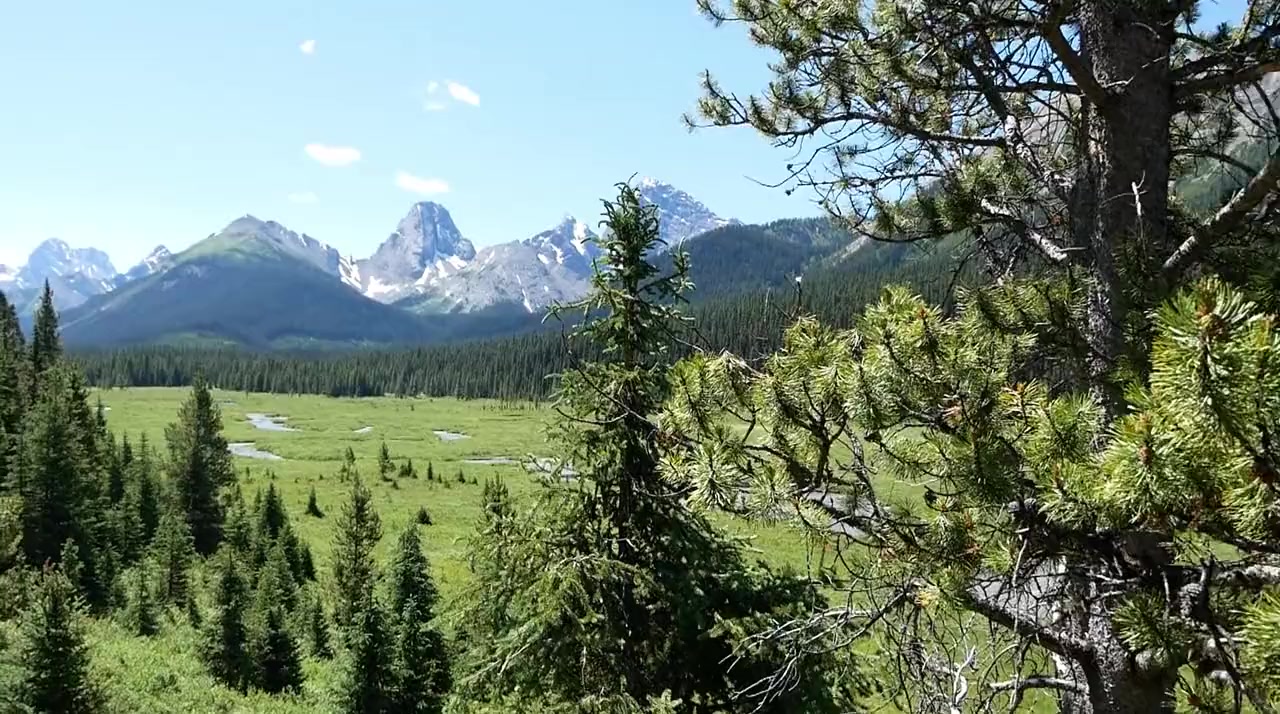 Cicliste per Caso - Grizzly Tour screenshot 3