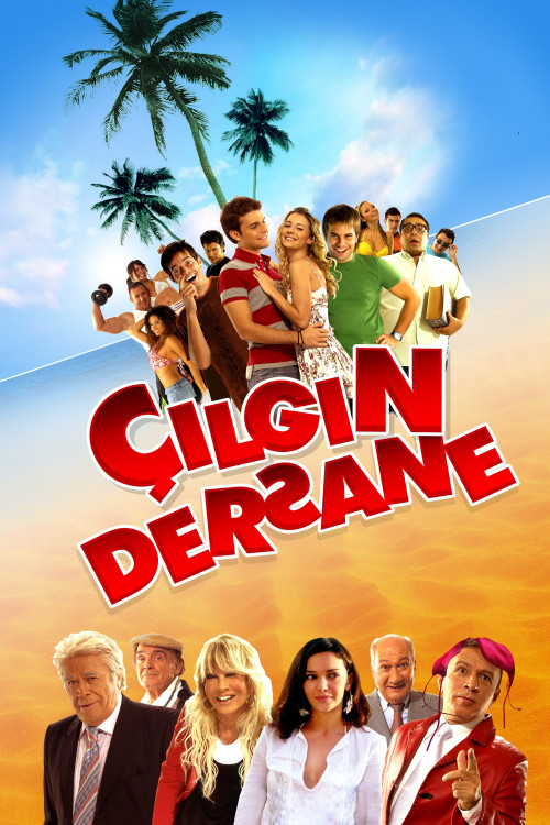 Çilgin Dersane (2007) poster