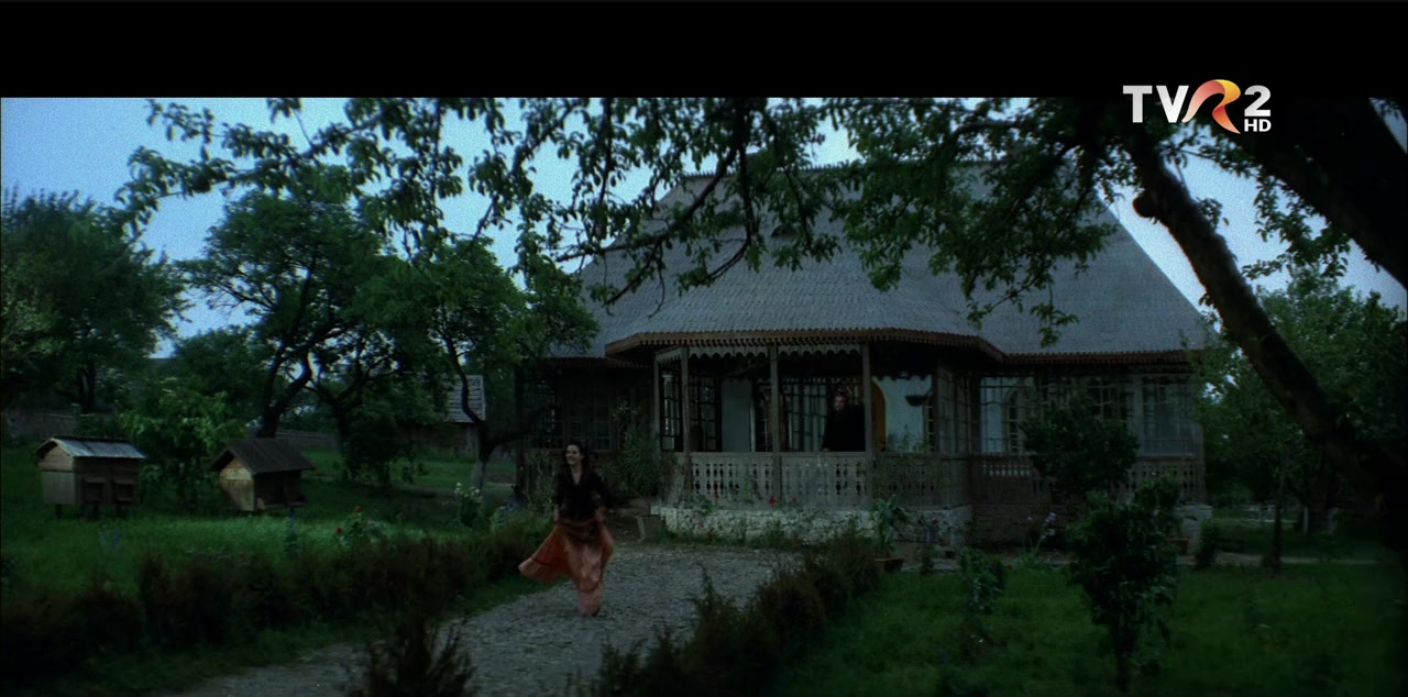 Ciprian Porumbescu screenshot 1