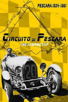 Circuito di Pescara - The Acerbo Cup (2015) poster