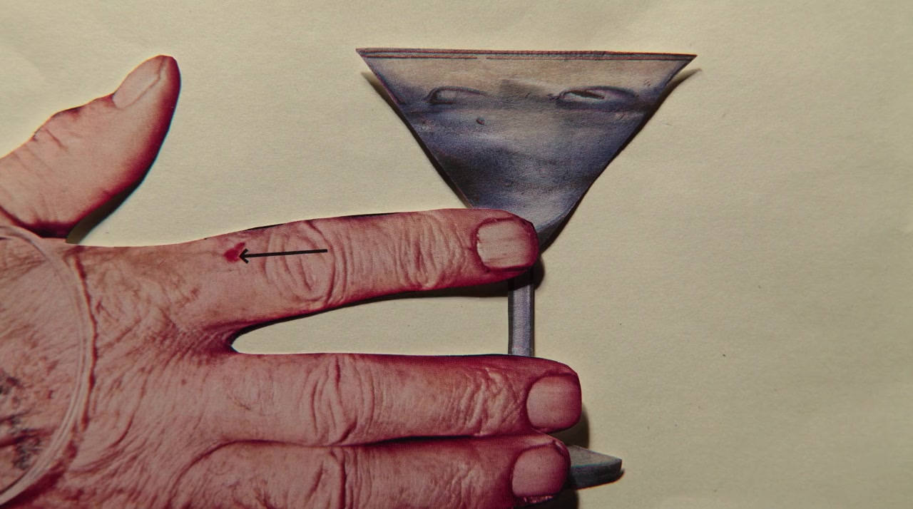 Circumstantial Pleasures screenshot 2