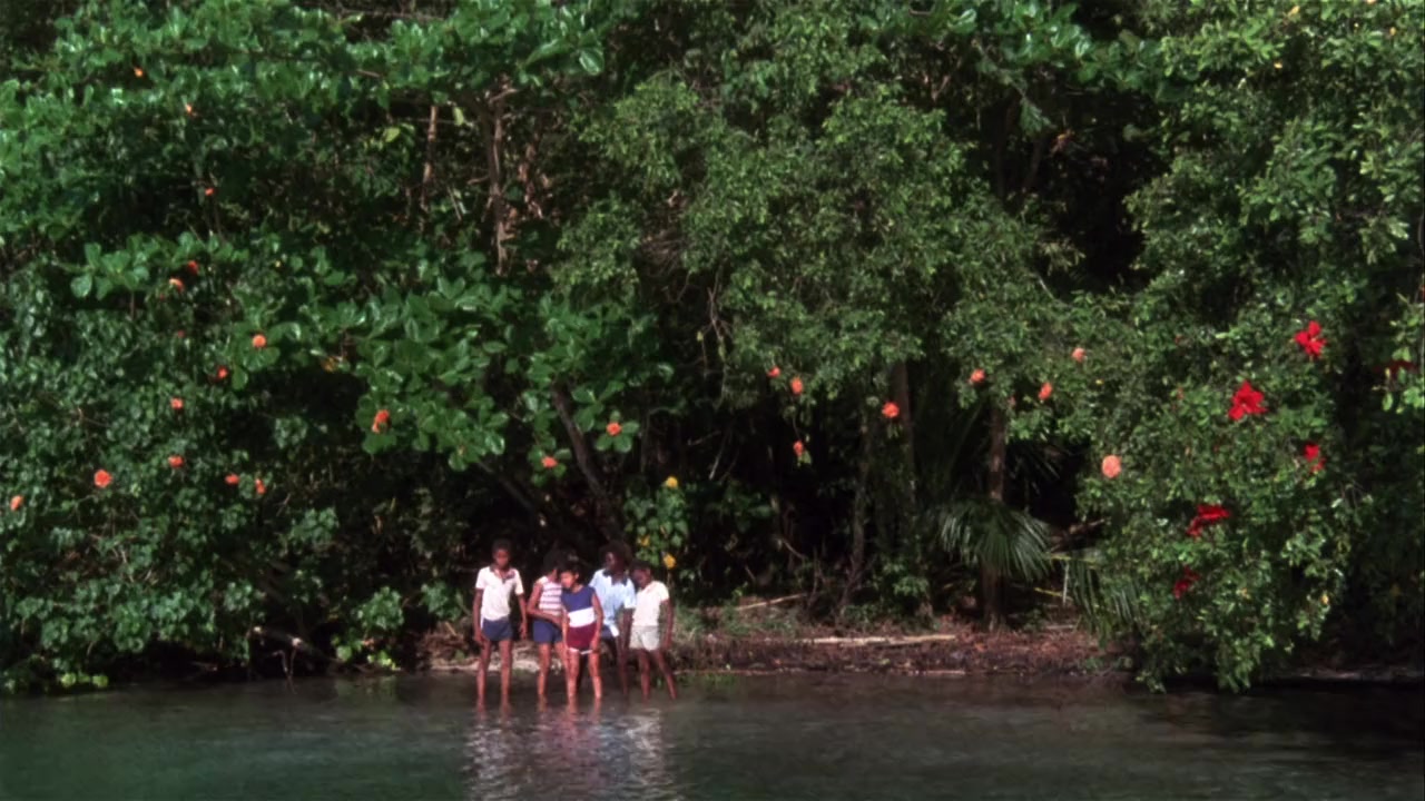 Club Paradise screenshot 1