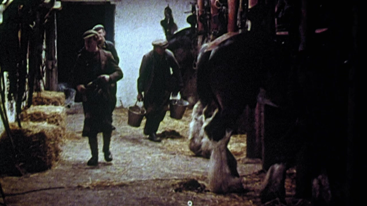 Clydesdale: Saving the Greatest Horse screenshot 3