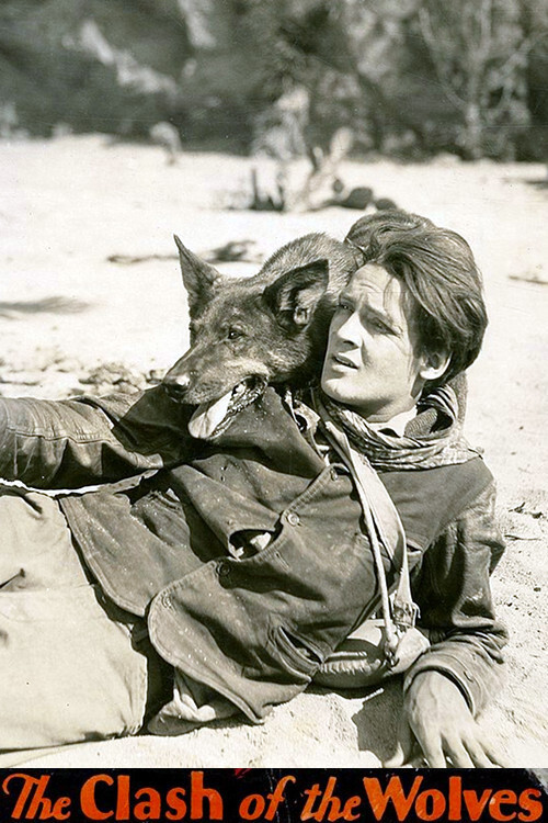 Clash of the Wolves (1925) poster