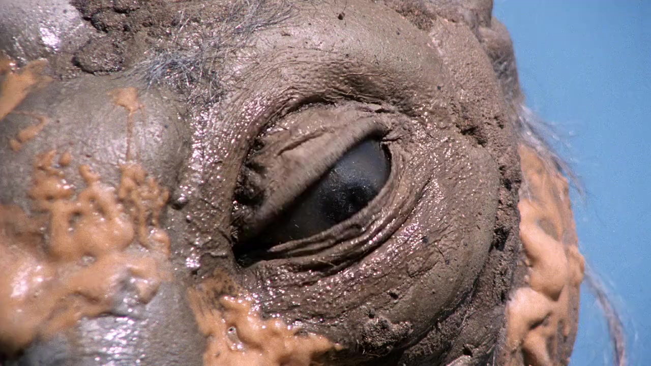 Class of Nuke 'Em High Part 3: The Good, the Bad and the Subhumanoid screenshot 1