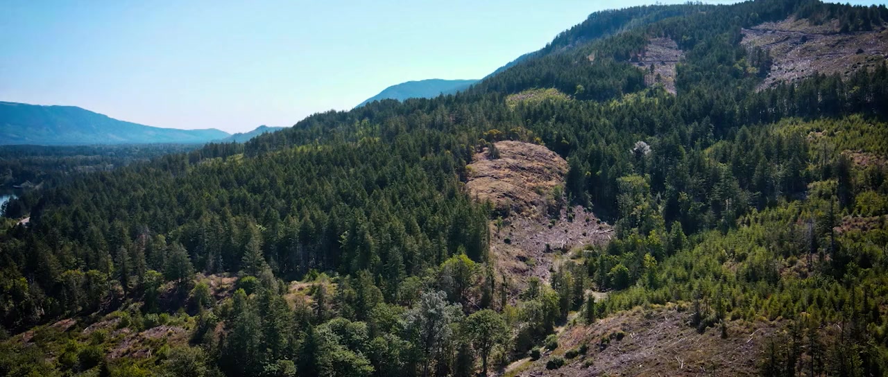 Clear Cut screenshot 1