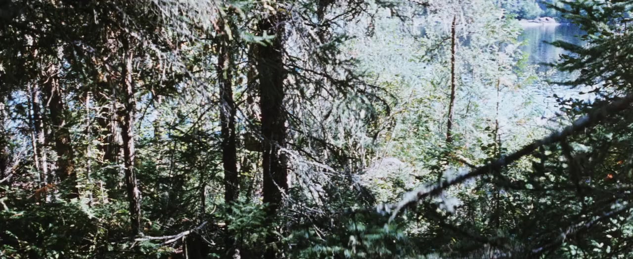 Clearcut screenshot 1