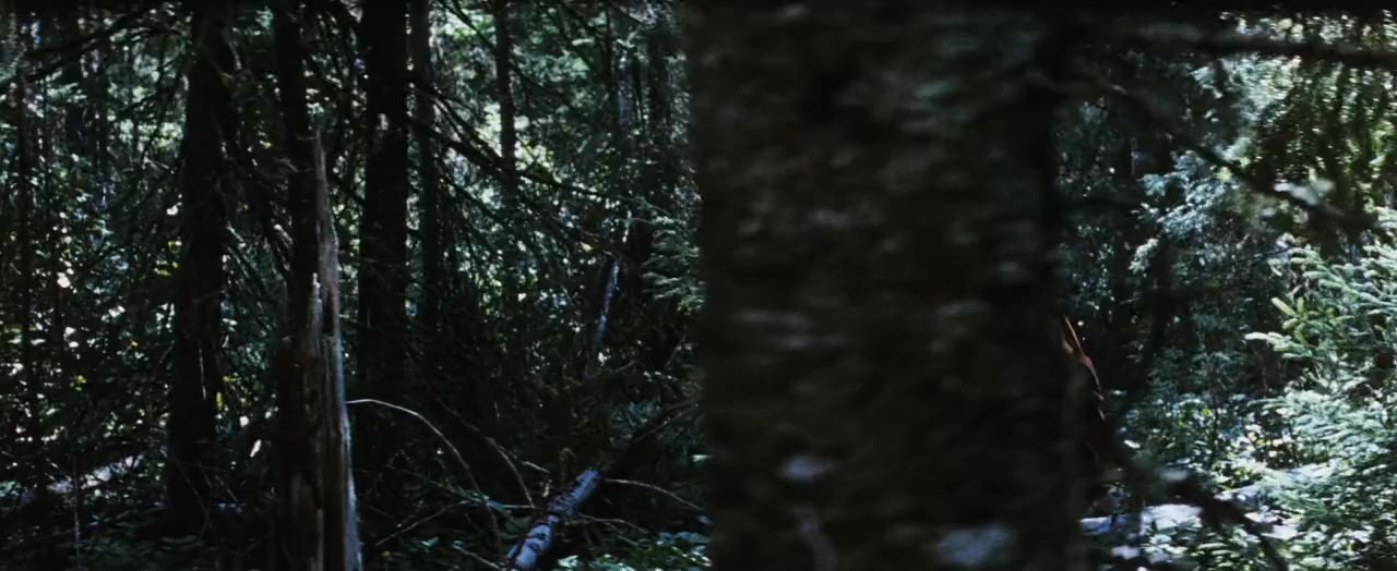 Clearcut screenshot 2
