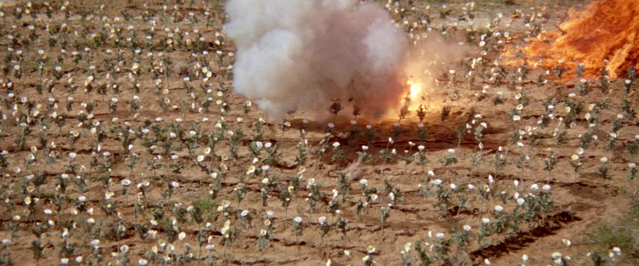 Cleopatra Jones screenshot 1