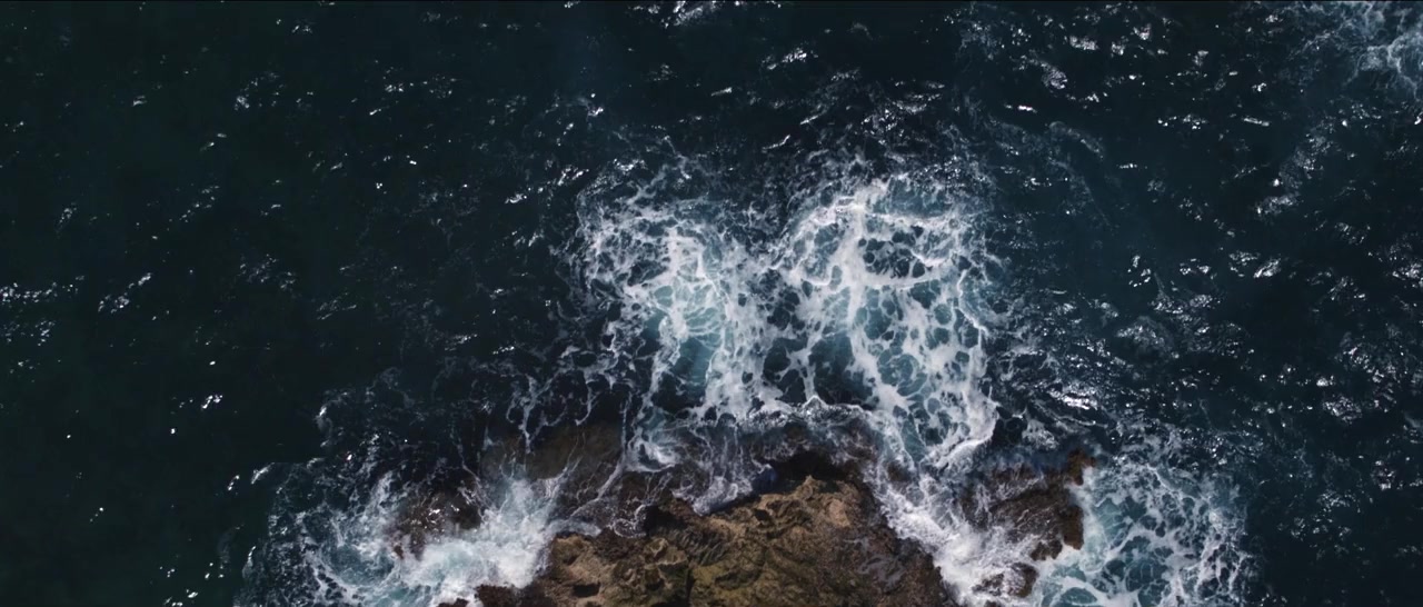 Clemente screenshot 2