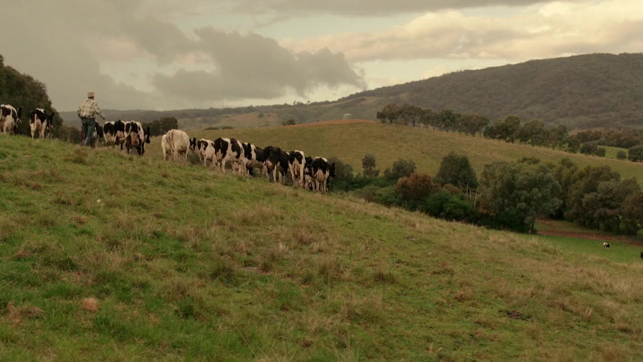 Cliffy screenshot 3