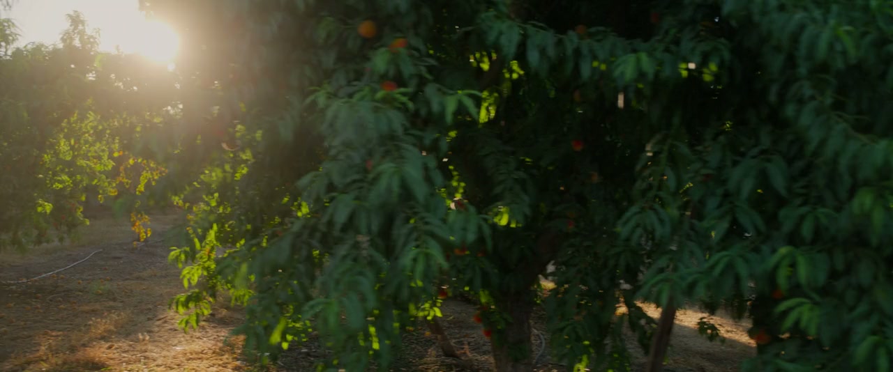 Clika screenshot 3