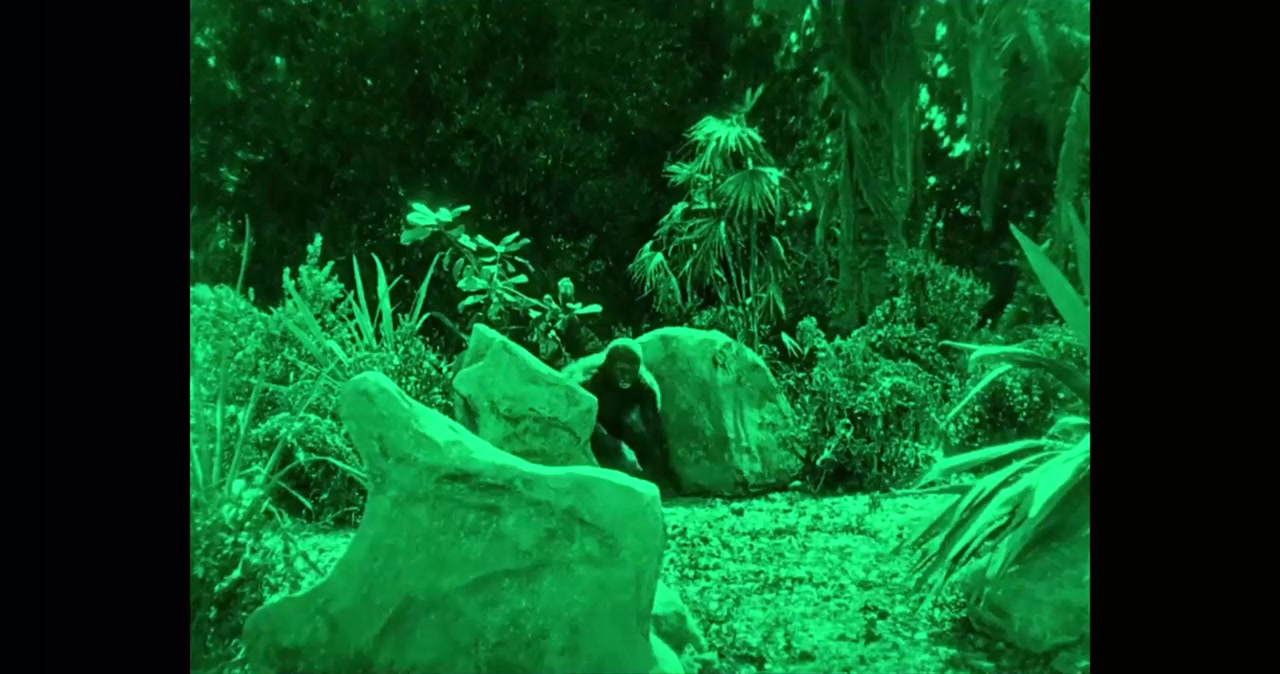 Climate: The Movie (The Cold Truth) screenshot 2