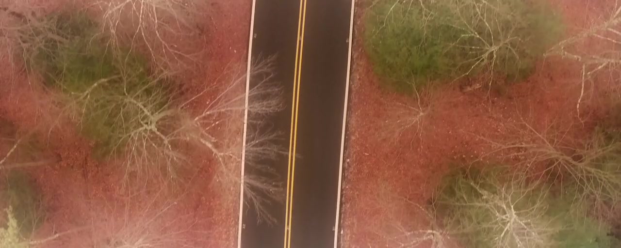 Clinton Road screenshot 3