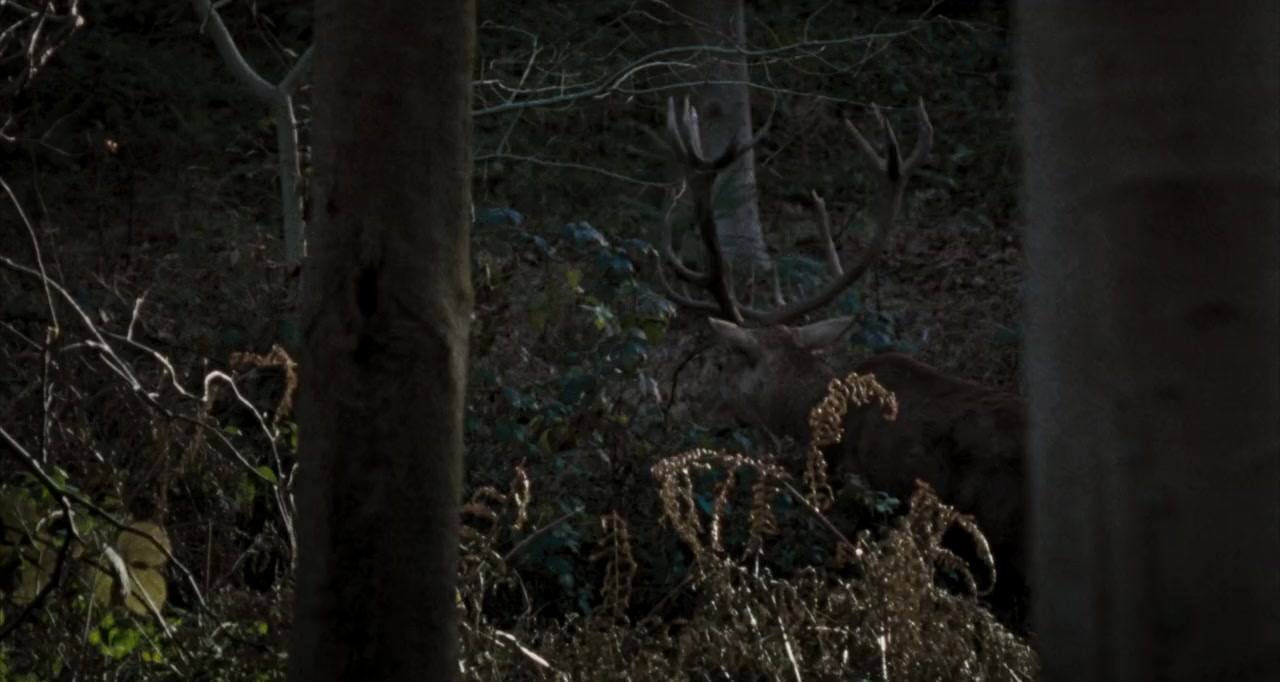 Straightheads screenshot 3