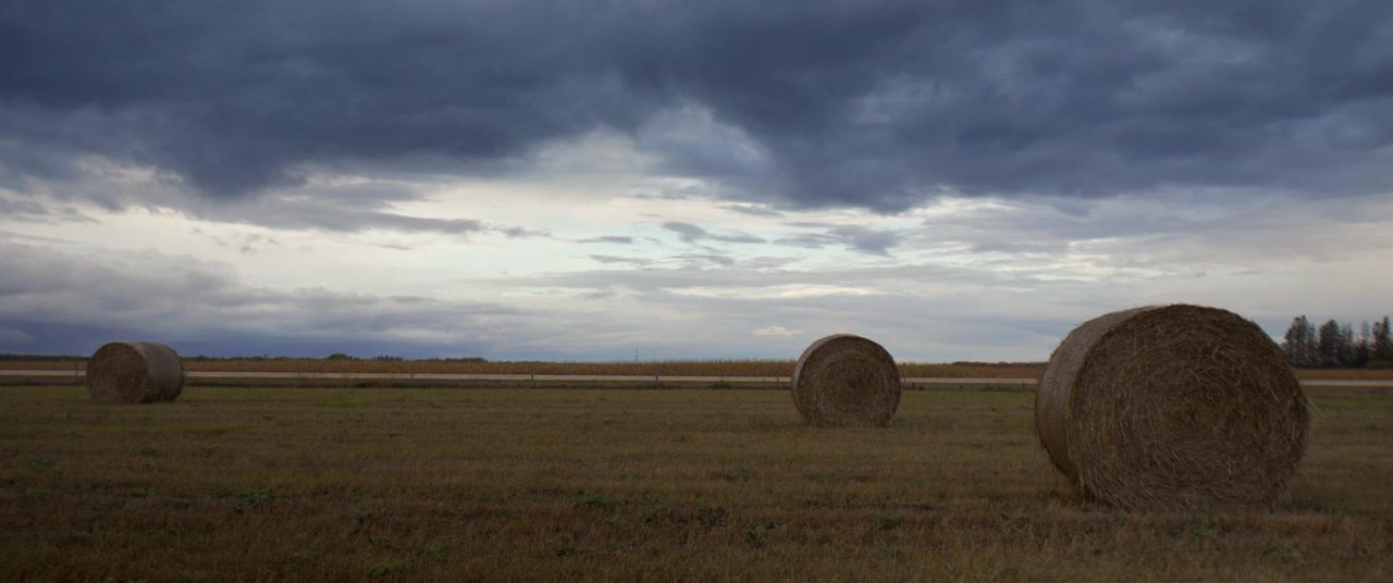 Clown in a Cornfield screenshot 2