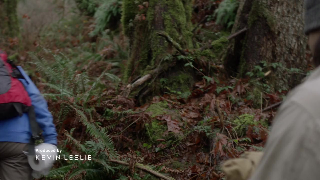 Cruel Instruction screenshot 1