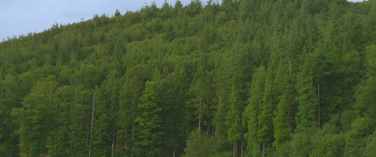 Cruel Summer screenshot 2