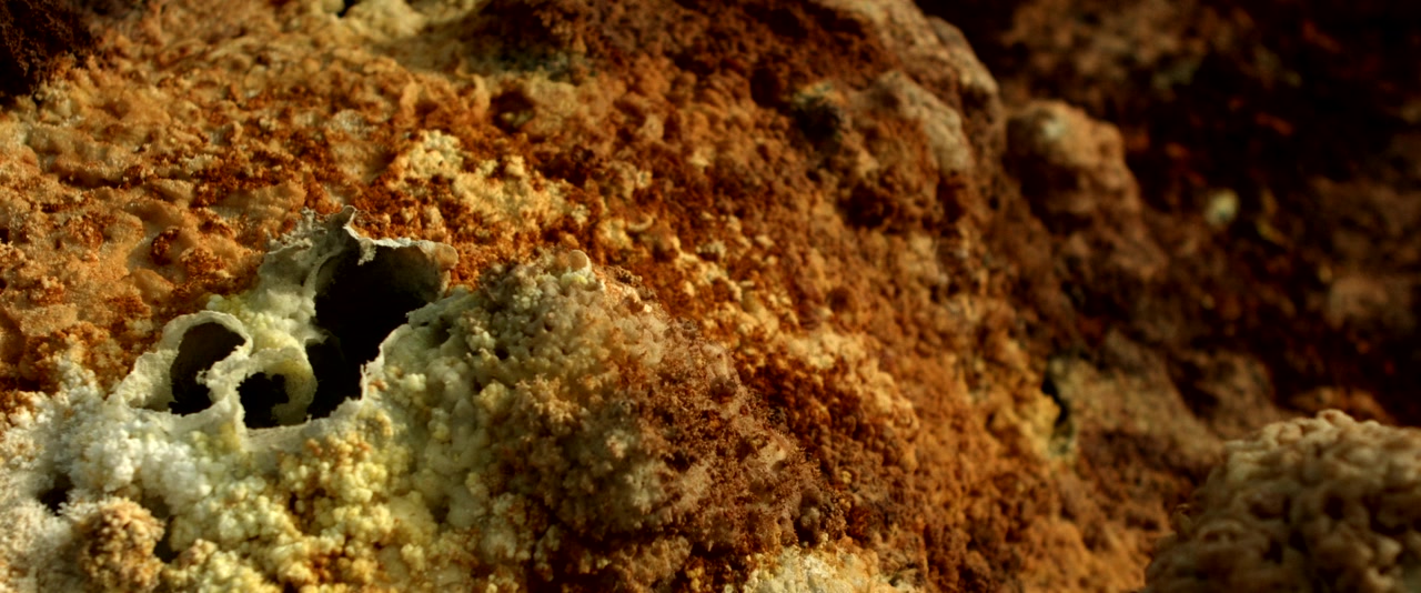 Crumbs screenshot 1