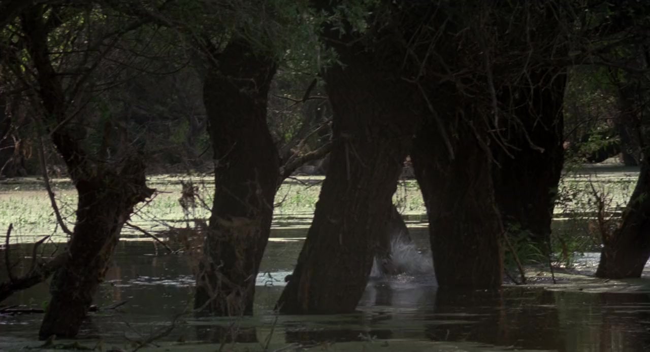 Crusoe screenshot 2