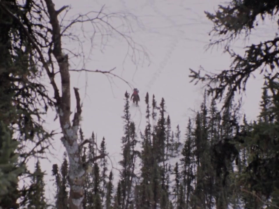 Cry of the Wild screenshot 1