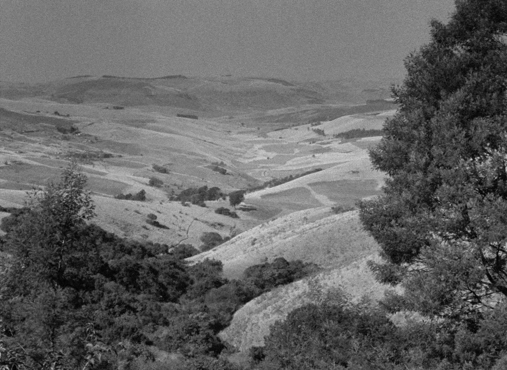 Cry, the Beloved Country screenshot 1