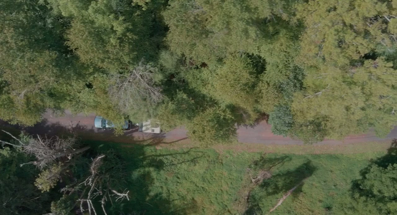 Crybaby Bridge screenshot 2