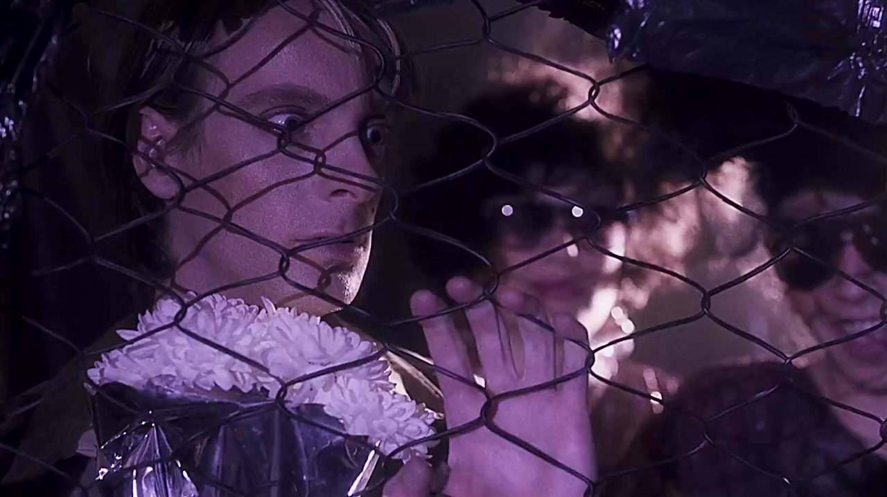 Mirada de cristal screenshot 3