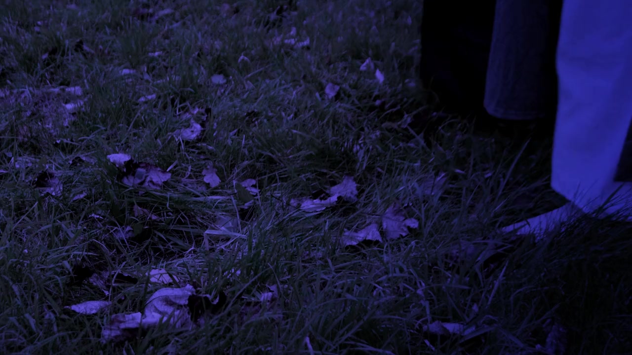 Crawlies screenshot 2
