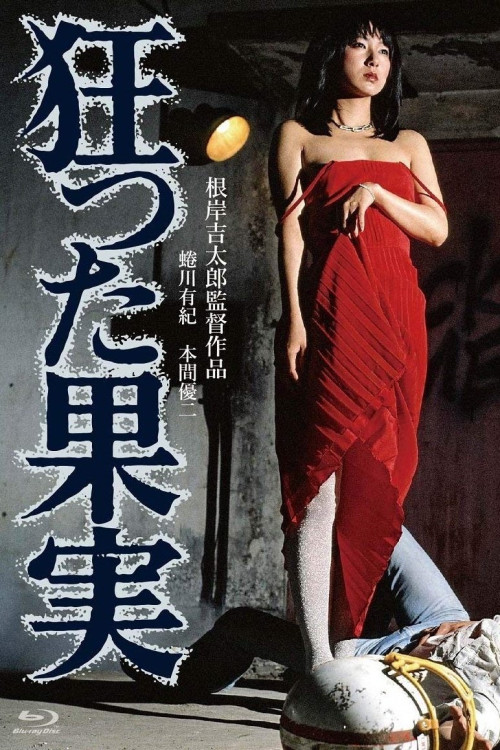 Kurutta kajitsu (1981) poster