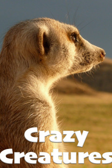 Crazy Creatures (2018) poster