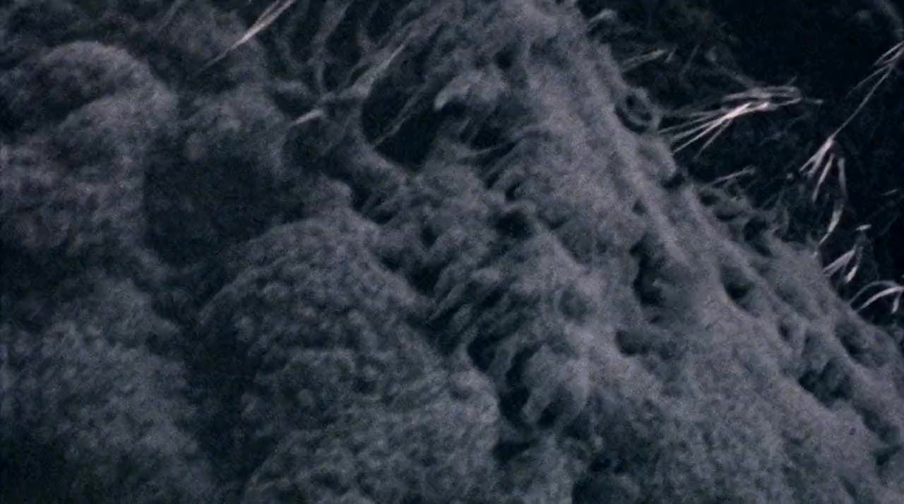 Kuruizaki sanda rodo screenshot 1