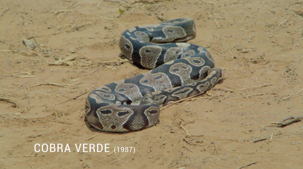 Creation Is Violent: Anecdotes from Kinski's Final Years screenshot 1