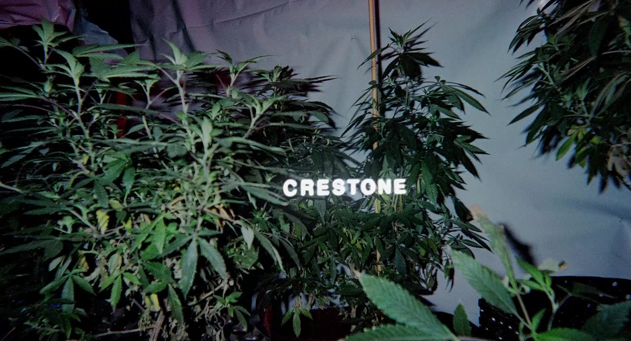 Crestone screenshot 1
