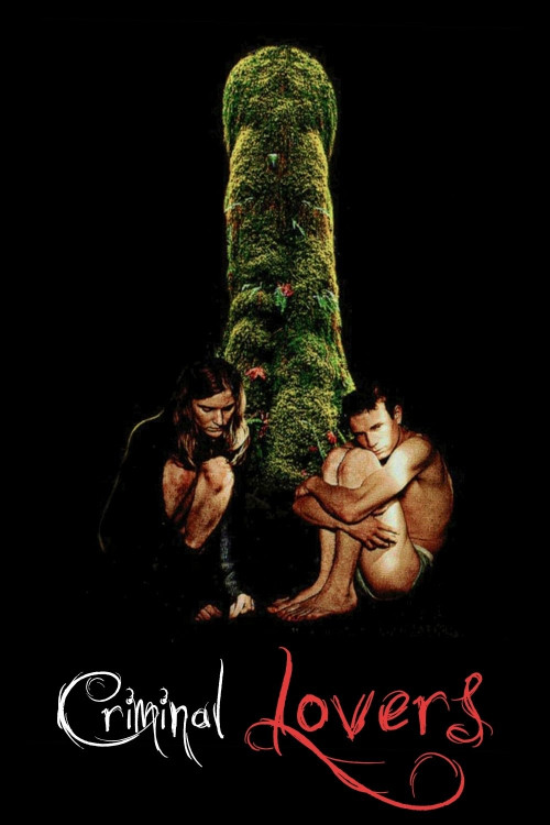 Les amants criminels (1999) poster
