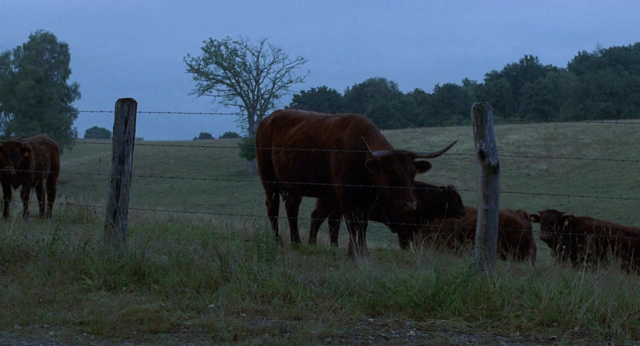 Les amants criminels screenshot 1
