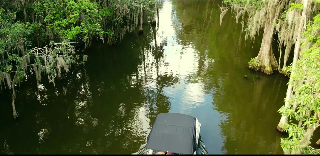 Crocodylus: Mating Season screenshot 1